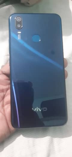 VIVO