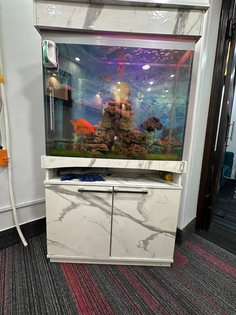 Fish Aquarium White Glossy Marbal wooden 2