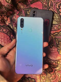 vivo