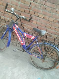 bicycle full size NO 1quality R. S 10000