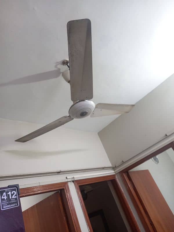 fan for sale 0