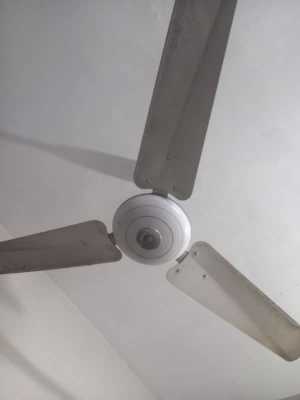 fan for sale 1