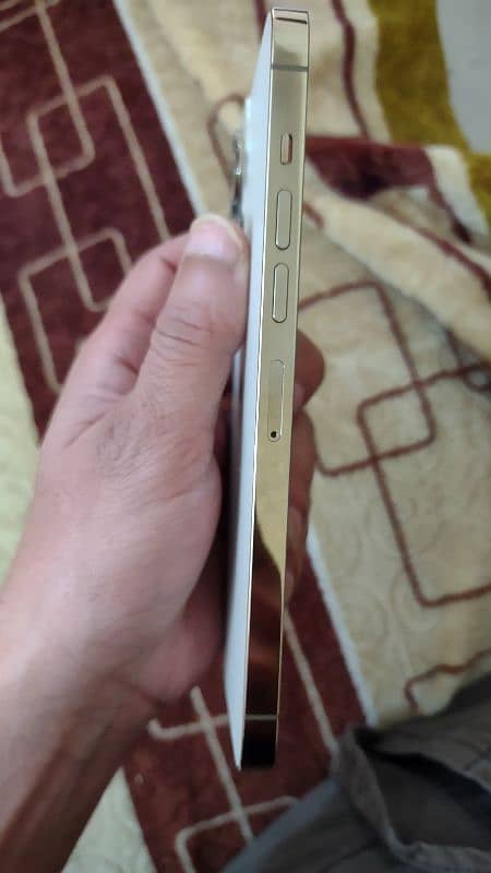 iPhone 13 pro max 256GB NON PTA FU 4