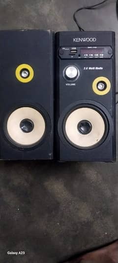 speaker's