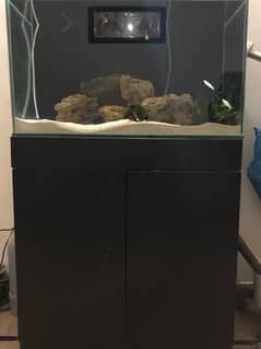 Fish Aquarium