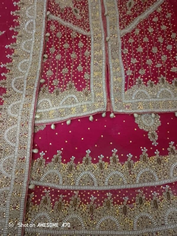 Bridal sharara 4