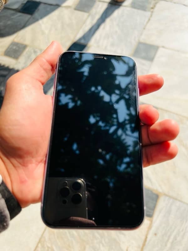 Iphone 11 pta approved 1