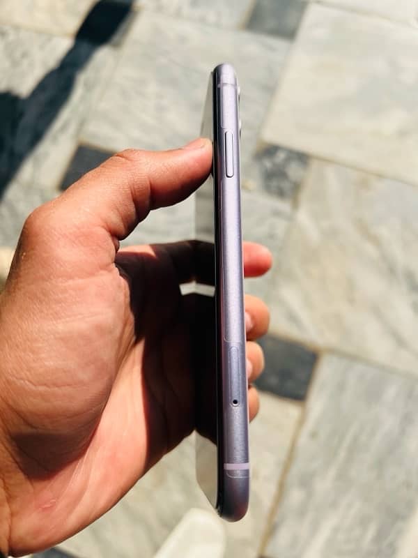 Iphone 11 pta approved 2