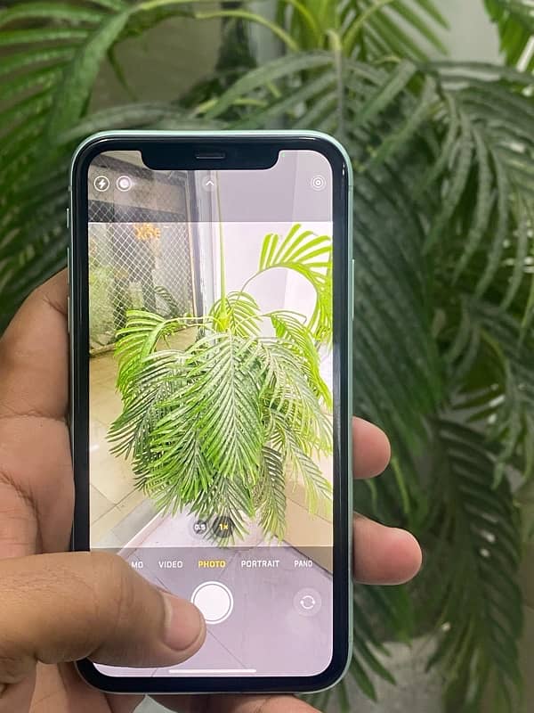 iPhone 11 256gb Dual Sim pta approved Waterpack 03097277399 3