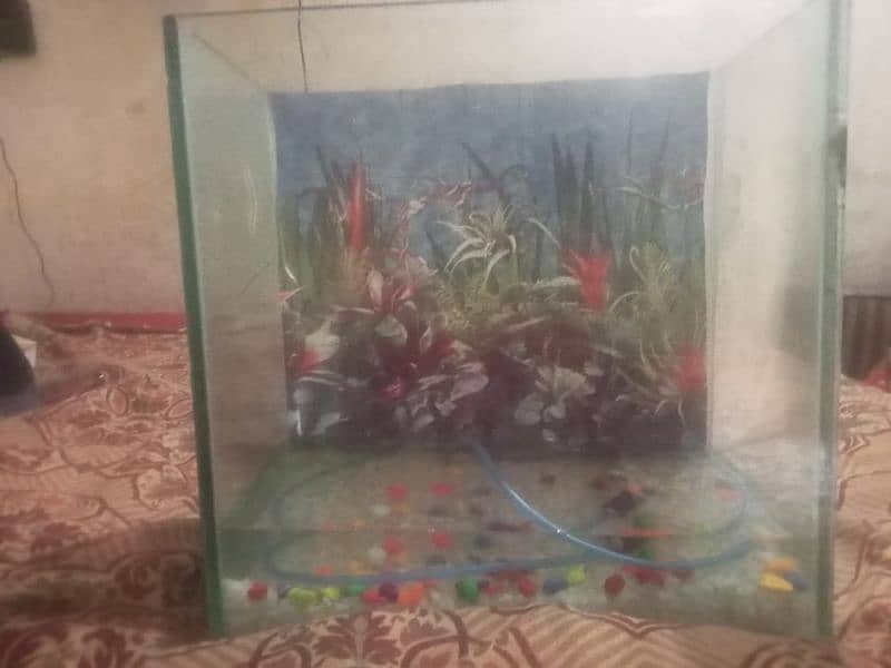 fish aquarium with pump and light 5