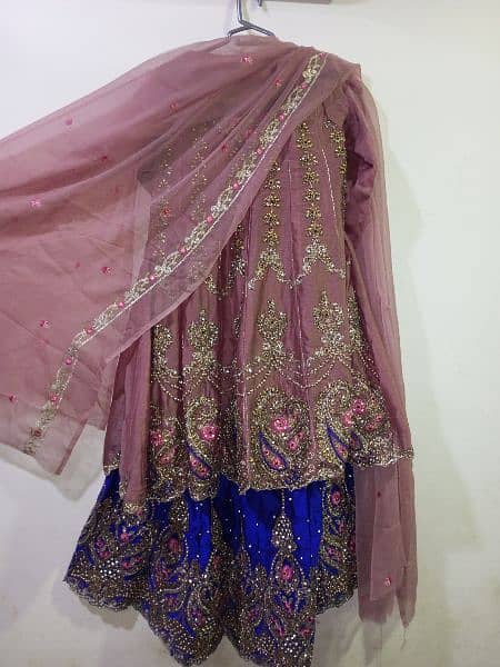 Maxi, Lehenga, langa, wedding lehenga, new langha, home delivery 7