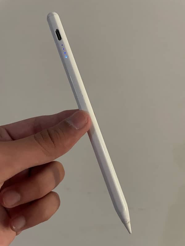 iPad stylus with palm rejection 0