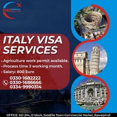 Work visa service, Fast visa processing, Visa for multiple countries