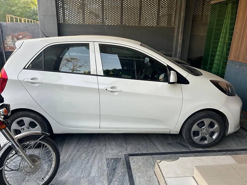 KIA Picanto 2024 2