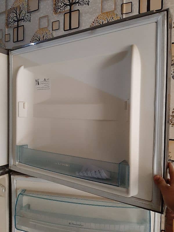 electrolux fridge full size 3