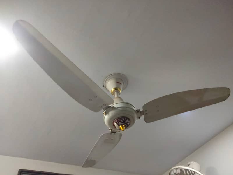 CEILING- ROYAL FAN 56" ( 5- UNIT ) 1