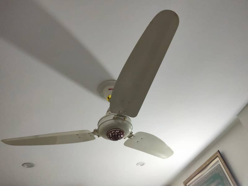 CEILING- ROYAL FAN 56" ( 5- UNIT ) 2