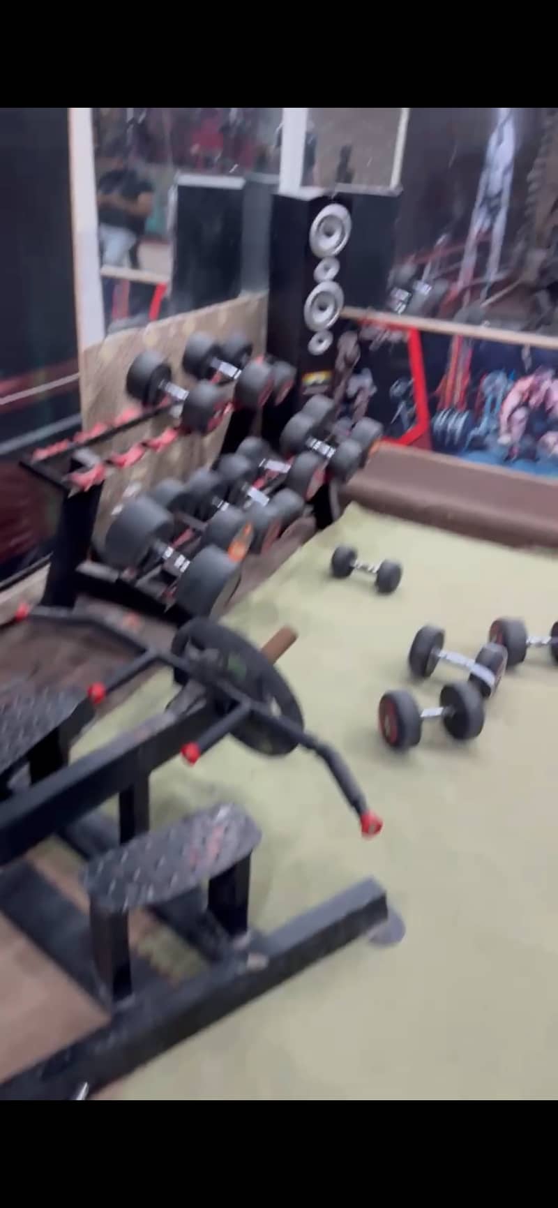 Whole Gym Equipment For Sale 12