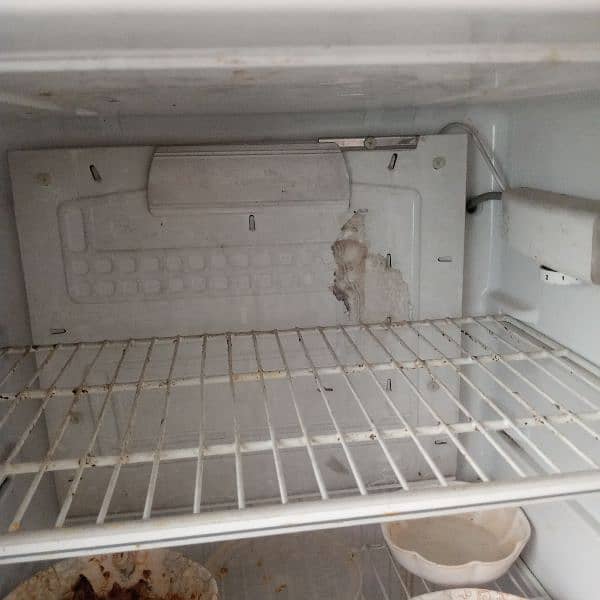 pel refrigerator very very good condition 100/100 2