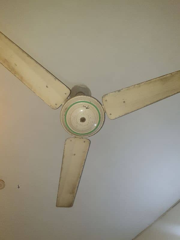 fan sufi 0