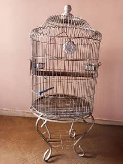 Parrot Cage