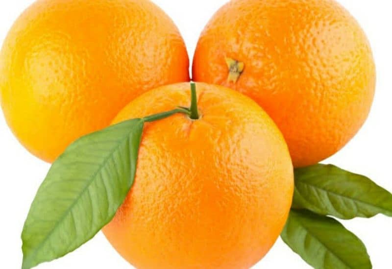 fresh and juicy oranges available order now 0