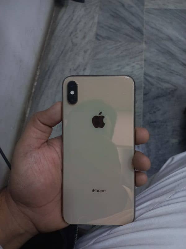 Xs Max 1