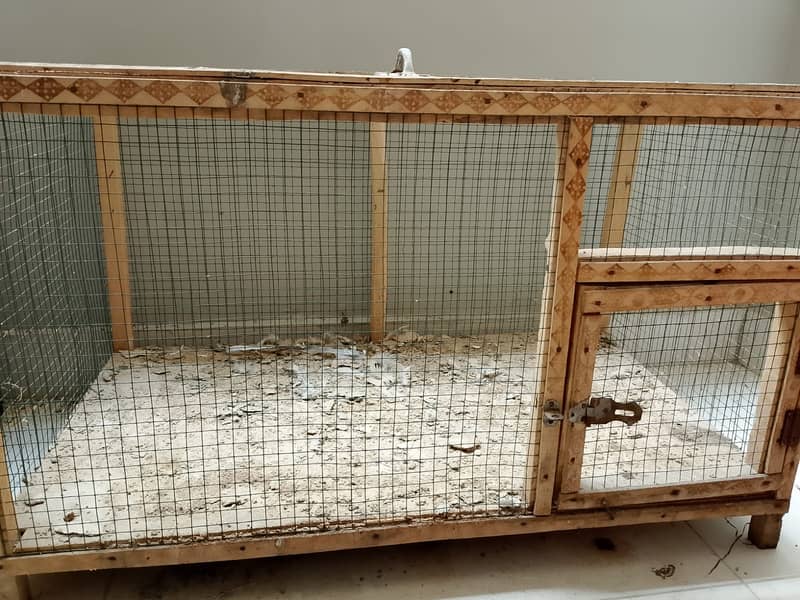 Hen/Rabbit Cage 1