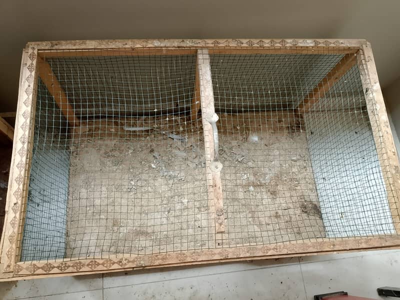 Hen/Rabbit Cage 3