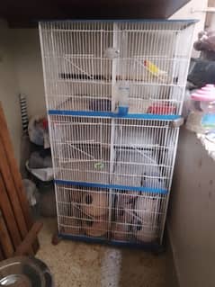 Lovebirds cage