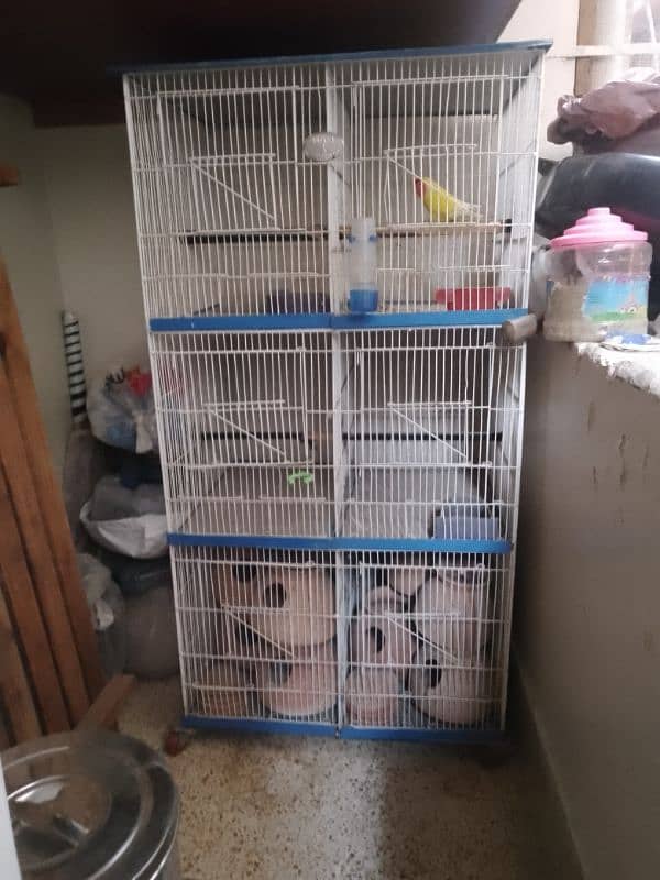 Lovebirds cage 2