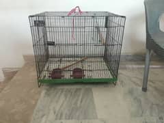 Cage for parrot