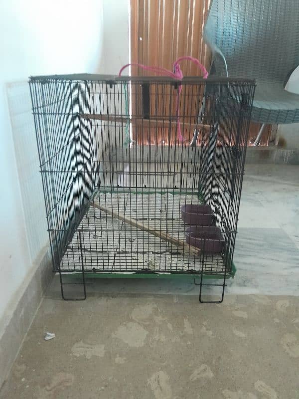 Cage for parrot 2