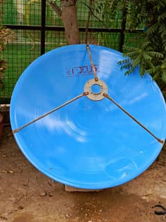 Focus Dish Antenna With Echolonk Receiver with NLB