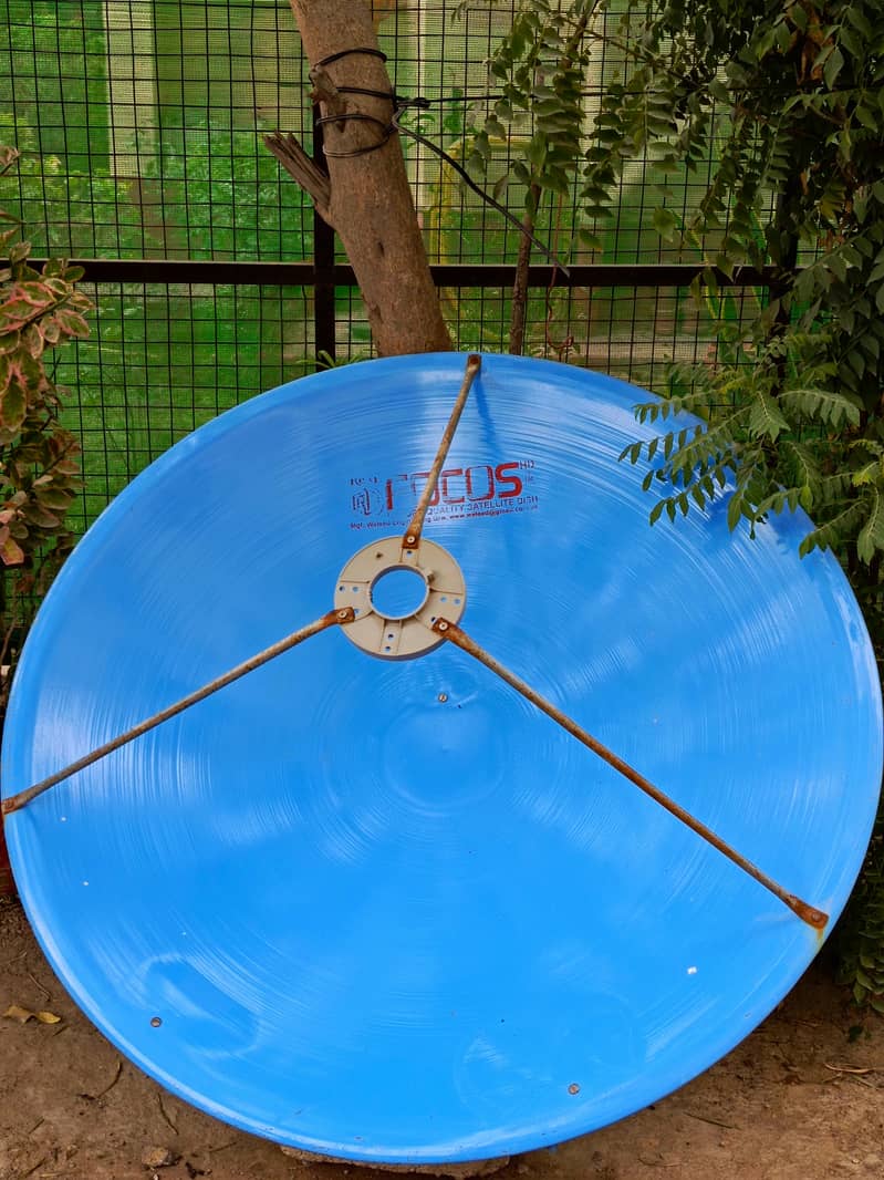 Focus Dish Antenna With Echolonk Receiver with NLB 2