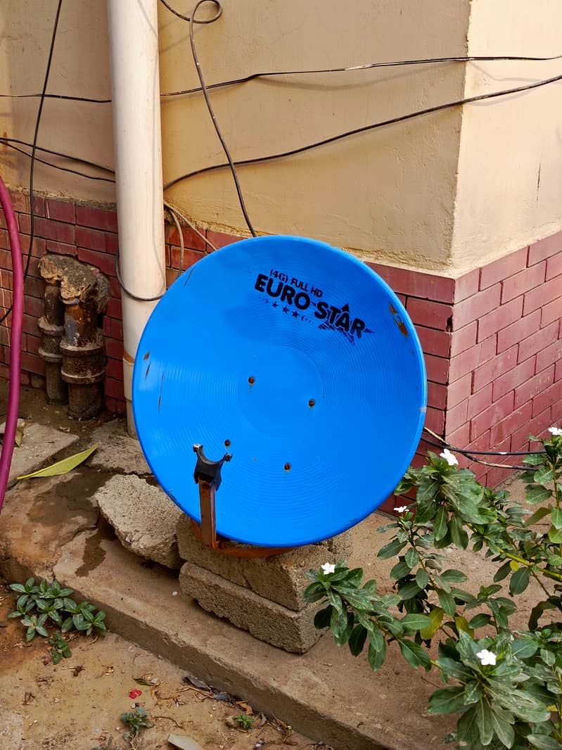 Focus Dish Antenna With Echolonk Receiver with NLB 5