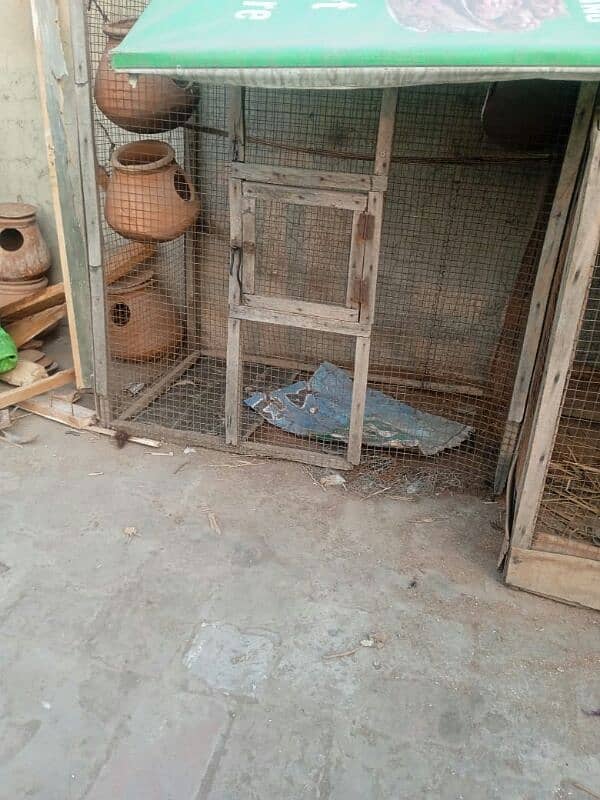 Australia parrots pair for sale and used iron or wood cage sales 8