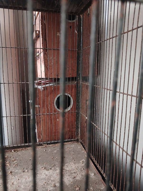 Cage & boxes for sale 4