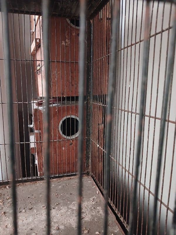 Cage & boxes for sale 5