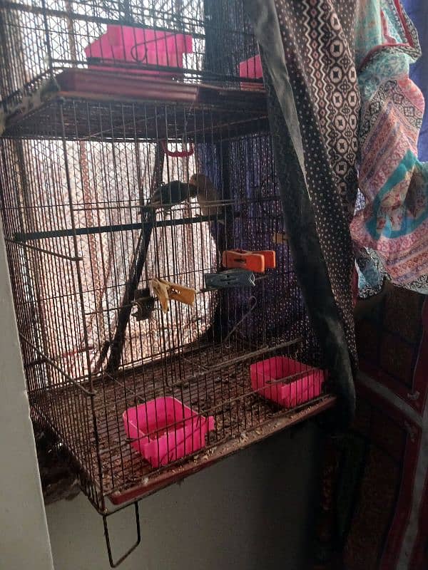 Cage & boxes for sale 6