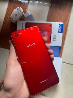 VIVO