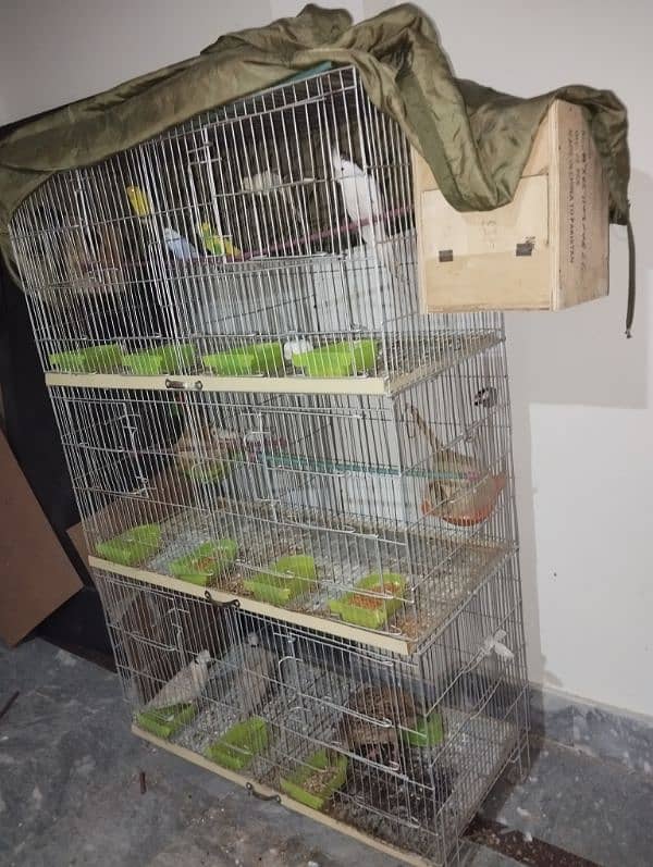 bilkul new condition me 2 cage han 1