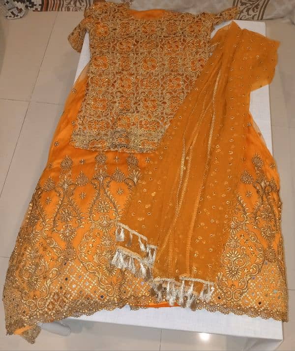 Net Fancy Lehenga [orange colour]. 0