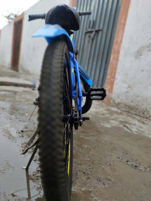 bicycle 4