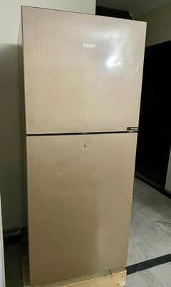 haier golden refrigerator in excellent condition