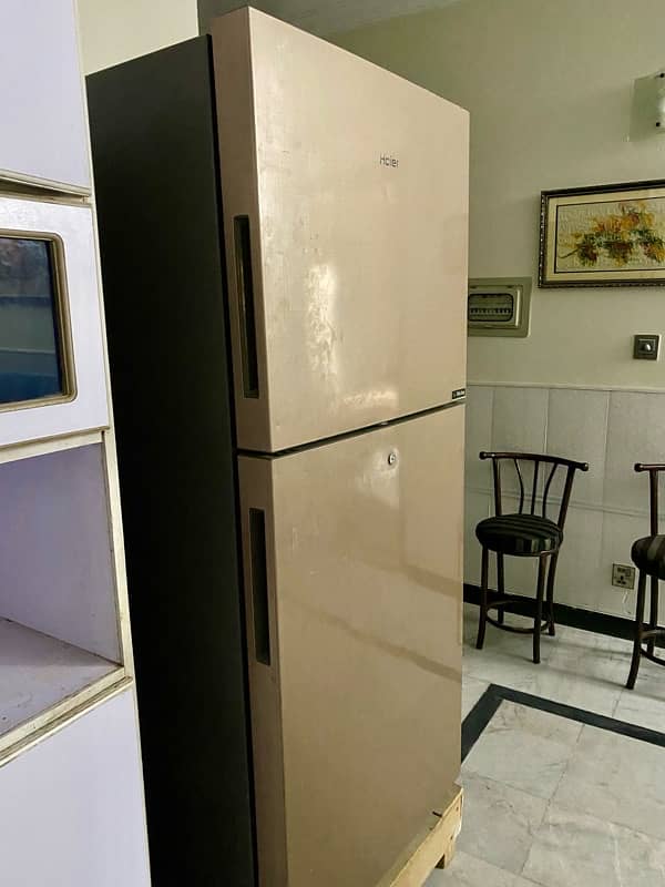 haier golden refrigerator in excellent condition 8