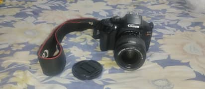 Canon EOS Rebel T6 Digital SLR Camera Kit with EF-S 18-55mm f/3.5-5.6