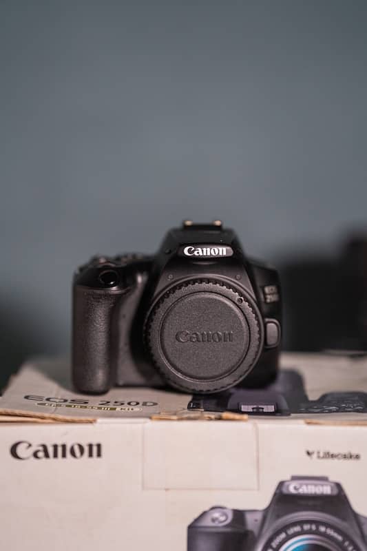 Canon 250D + Canon 50mm f1.8 + sigma 17-50 f2.8 10