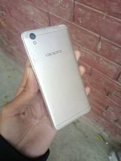 oppo