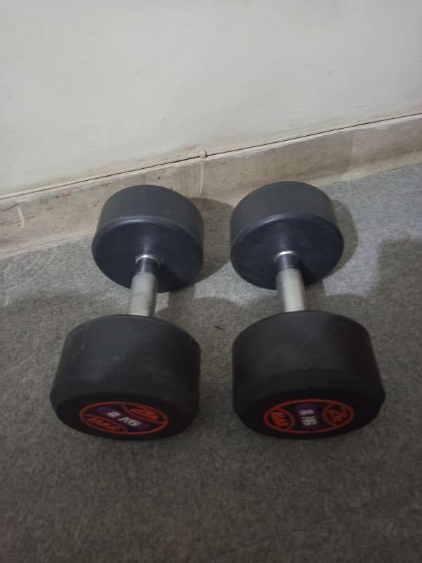 8 kg dumble rubber coated 2